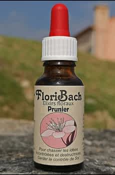 fleur de bach floribach 06 prunier cherry plum