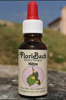 fleur de bach floribach 03 hêtre beech