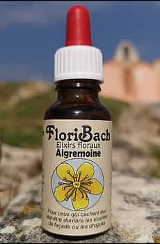 fleur de bach floribach 01 agrimony