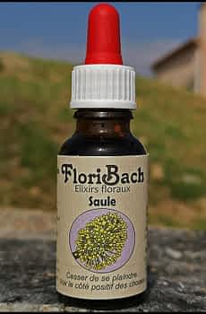 fleur de bach floribach 38 saule willow
