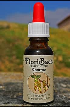 fleur de bach floribach 17 charme hornbeam