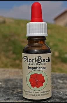 fleur de bach floribach 18 impatiens