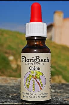 fleur de bach floribach 22 oak chene