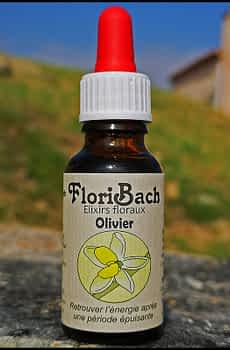 fleur de bach floribach 23 olive