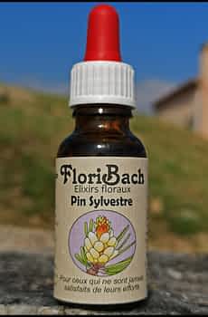 fleur de bach floribach 24 pine