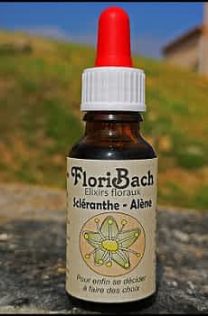 fleur de bach floribach 28 scleranthe