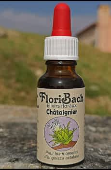 fleur de bach floribach 30 chataignier sweet chestnut