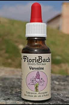 fleur de bach floribach 31 vervain
