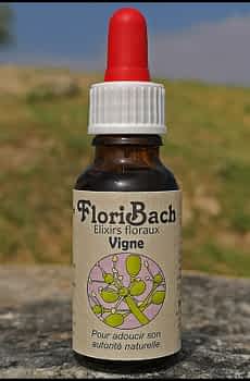 fleur de bach floribach 32 vigne vine