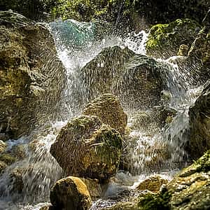 fleur de bach floribach 27 rock water