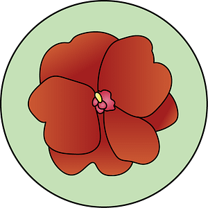 dessin fleur de bach floribach impatiens