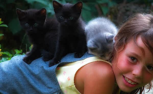 fleur de bach floribach animaux