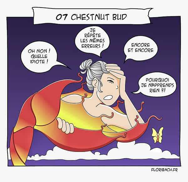 dessin fleur bach floribach chestnut bud