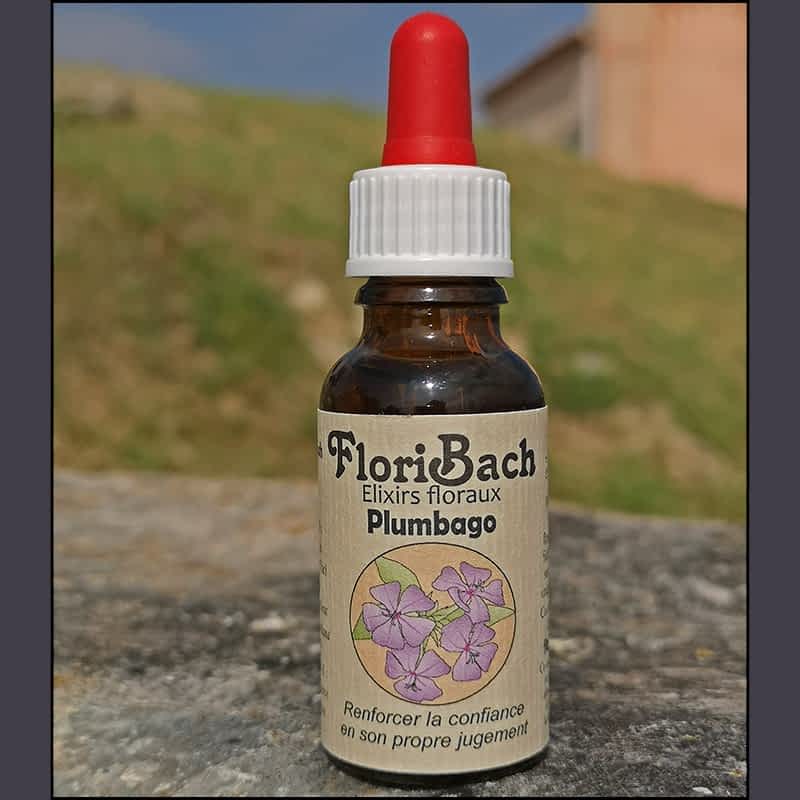 fleur de bach floribach 05 plumbago cerato