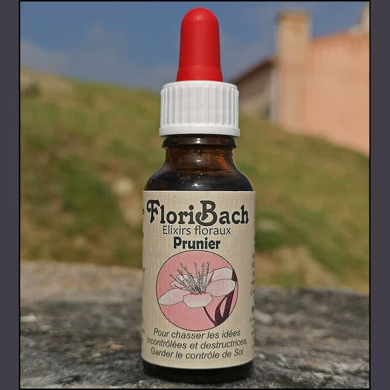 fleur de bach floribach 06 prunier cherry plum