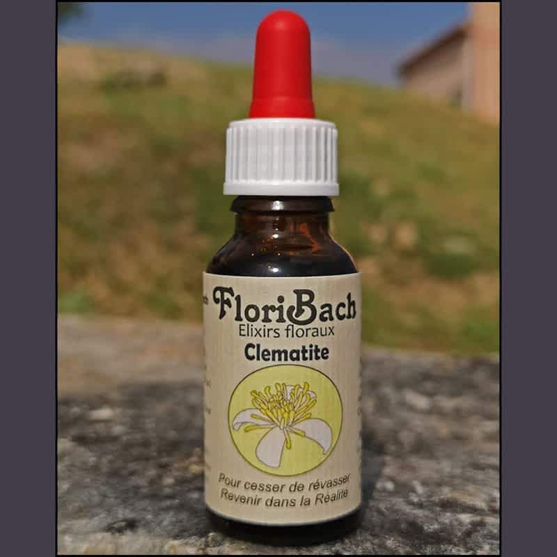 fleur de bach floribach 09 clematis clematite