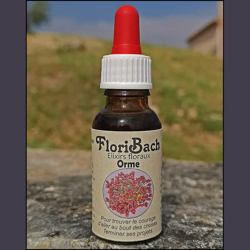 fleur de bach floribach 11 orme elm