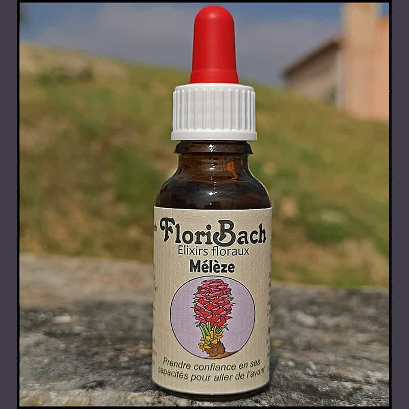 fleur de bach floribach 19 larch meleze