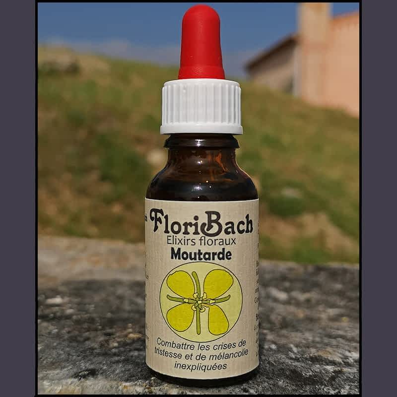 fleur de bach floribach 21 mustard