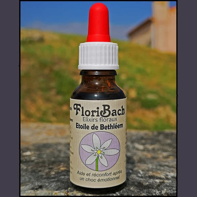 fleur de bach floribach 29 star of bethleem