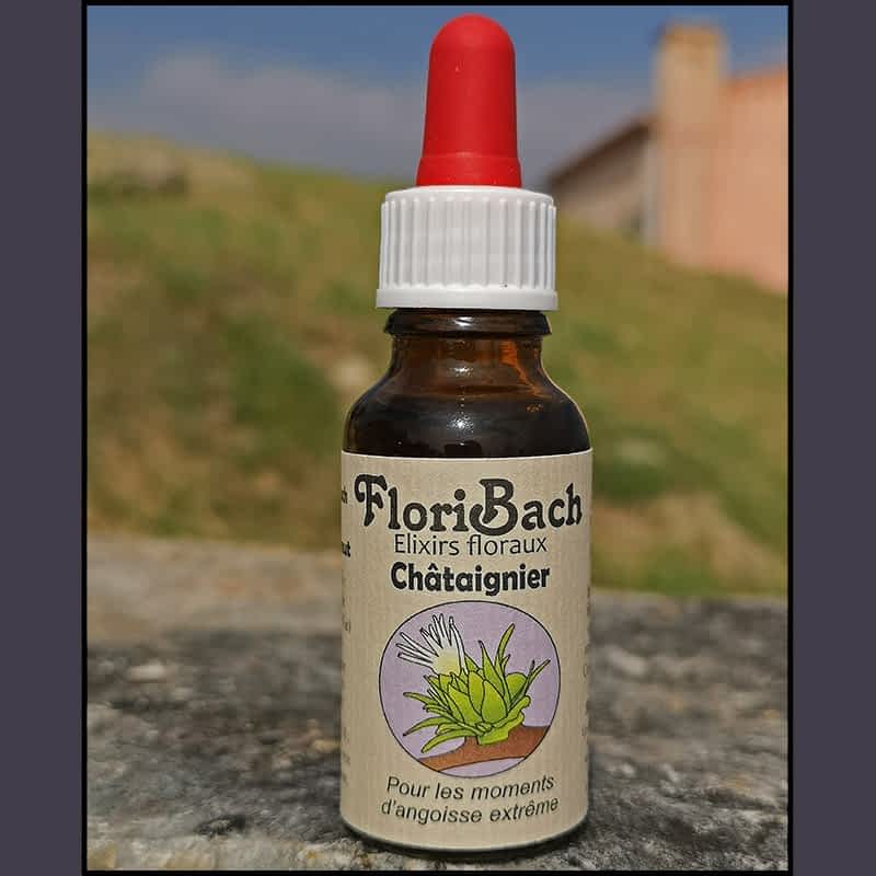 fleur de bach floribach 30 chataignier sweet chestnut