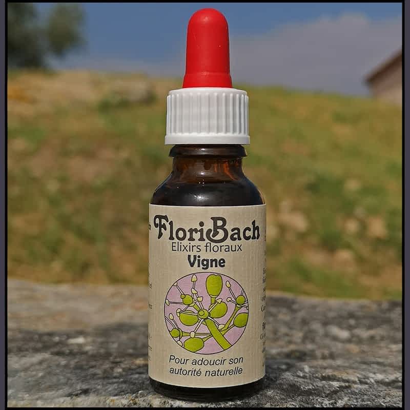 fleur de bach floribach 32 vigne vine