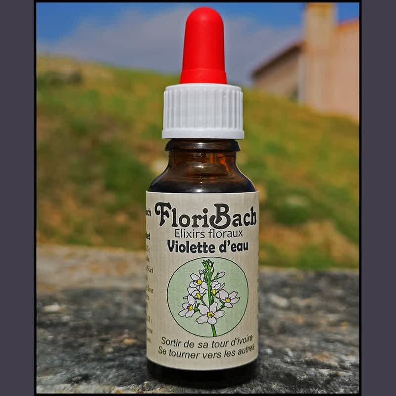 fleur de bach floribach 34 violette d'eau water violet