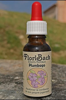 fleur de bach floribach 05 plumbago cerato