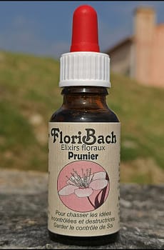 fleur de bach floribach 06 prunier cherry plum