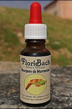 fleur de bach floribach 07 bourgeon marronnier chestnut bud
