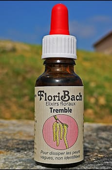 fleur de bach floribach 02 tremble aspen