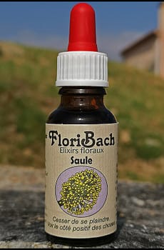 fleur de bach floribach 38 saule willow