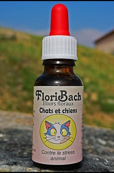 fleur de bach floribach remede urgence rescue animaux