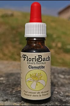 fleur de bach floribach 09 clematis clematite