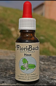fleur de bach floribach 15 houx holly