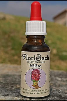 fleur de bach floribach 19 larch meleze