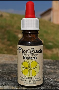 fleur de bach floribach 21 mustard