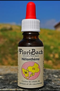 fleur de bach floribach 26 heliantheme rock rose rescue