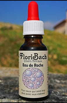 fleur de bach floribach 27 rock water