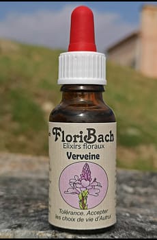 fleur de bach floribach 31 vervain