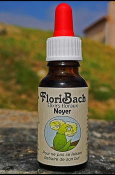 fleur de bach floribach 33 noyer walnut