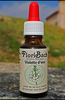 fleur de bach floribach 34 violette d'eau water violet