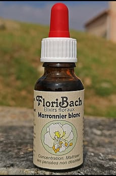 fleur de bach floribach 35 marronnier blanc white chestnut