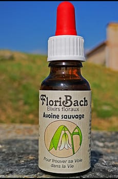 fleur de bach 36 avoine sauvage wild oat floribach