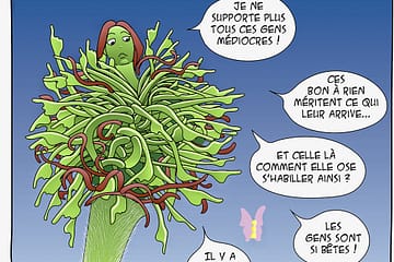 bd dessin fleur Bach Hêtre Beech