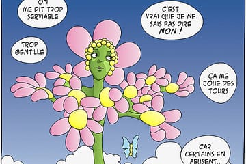 blog bd fleur bach centaury centauree