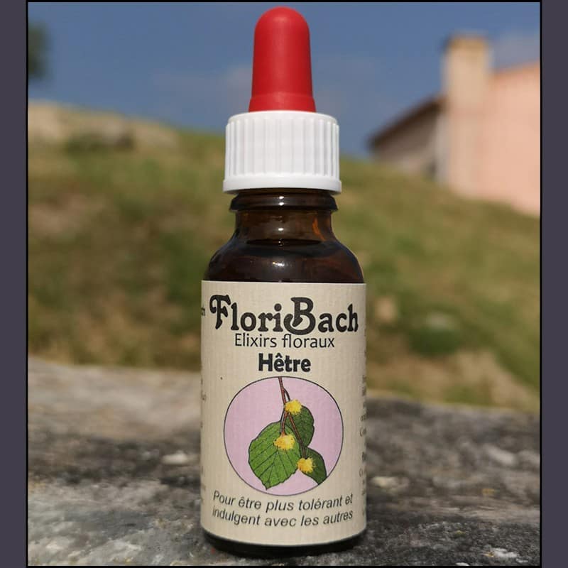 fleur de bach floribach 03 hêtre beech