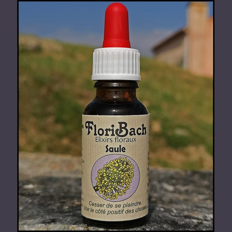 fleur de bach floribach 38 saule willow